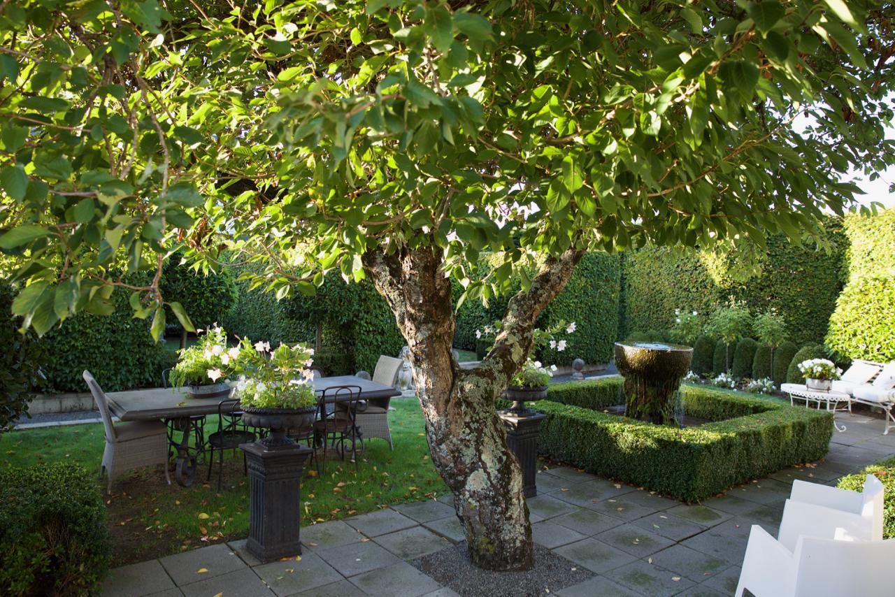 Briarwood Otel Greytown Dış mekan fotoğraf